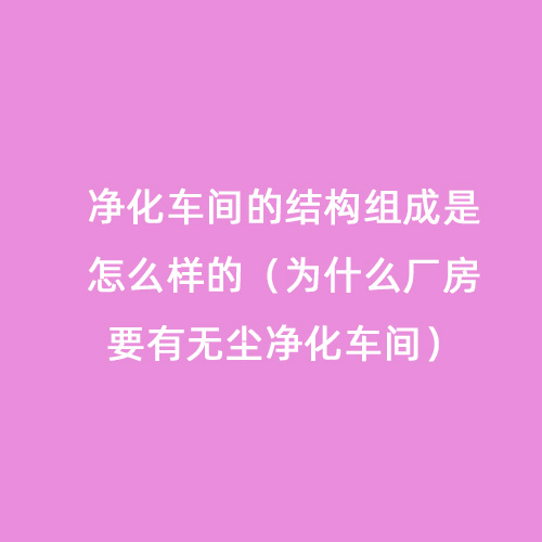 凈化車間的結(jié)構(gòu)組成是怎么樣的（為什么廠房要有無(wú)塵凈化車間）